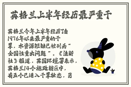 丝袜meinv